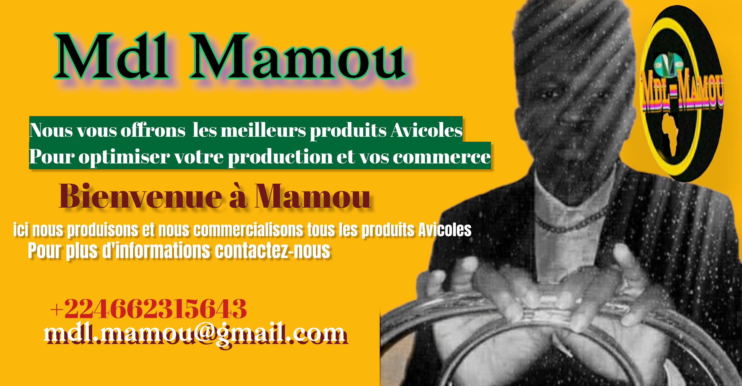 Ferme Avicole En Guin e Conakry